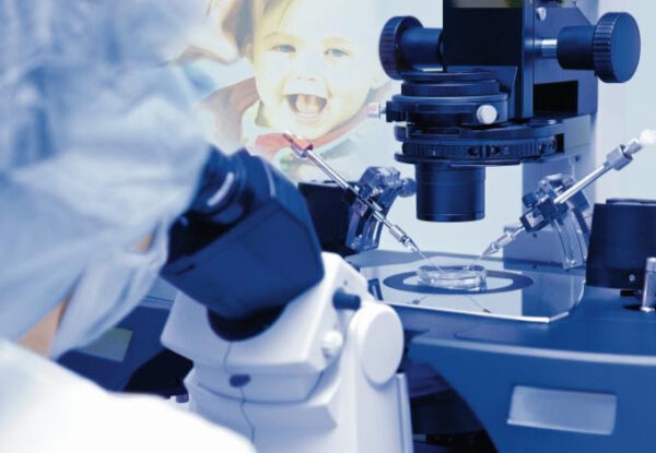 Under the Microscope: An Examination of Embryo Transfer Technique | The ...