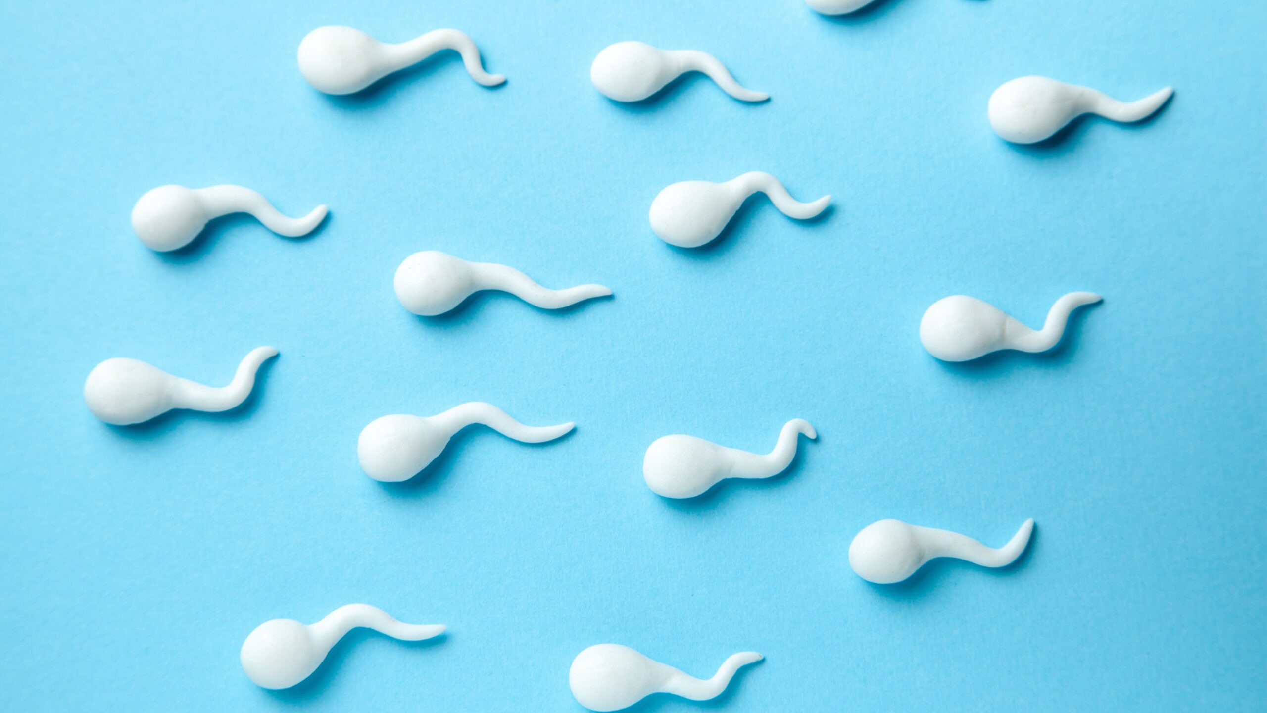 A group of sperm in front of a light blue background