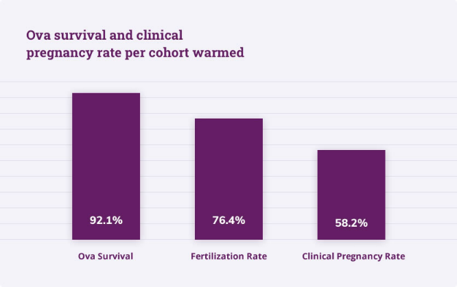 egg and sperm donor success rates