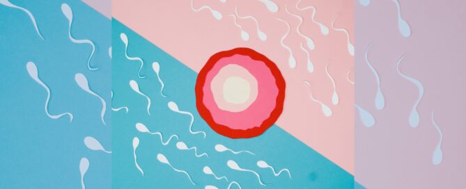 What is a sperm donor